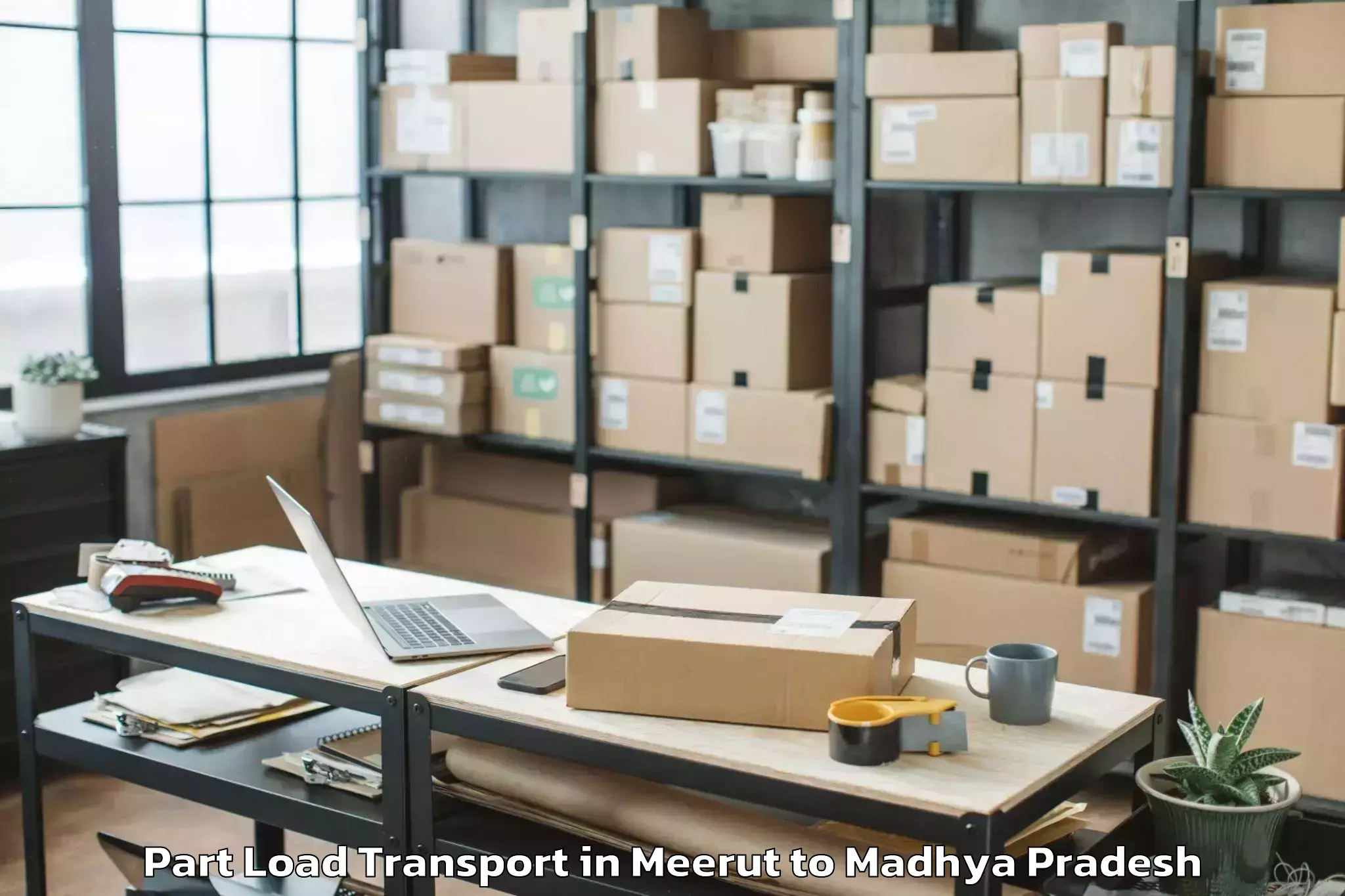 Meerut to Gandhwani Part Load Transport Booking